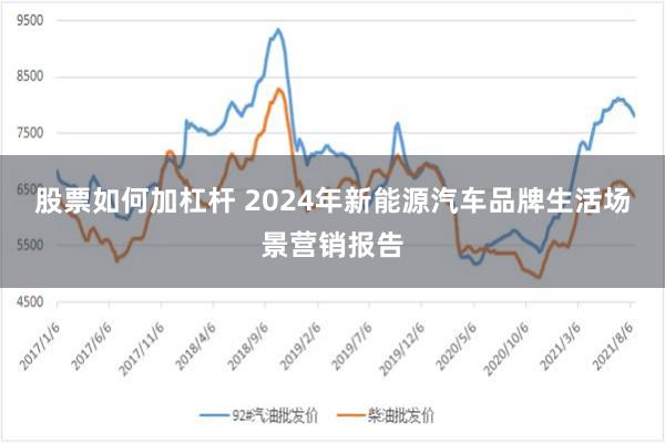 股票如何加杠杆 2024年新能源汽车品牌生活场景营销报告