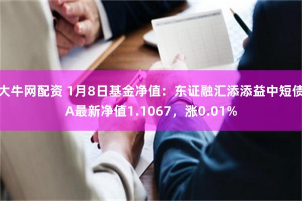 大牛网配资 1月8日基金净值：东证融汇添添益中短债A最新净值1.1067，涨0.01%